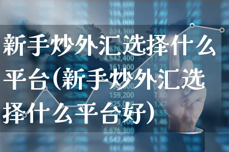 新手炒外汇选择什么平台(新手炒外汇选择什么平台好)_https://www.xgbbparty.com_外汇市场_第1张