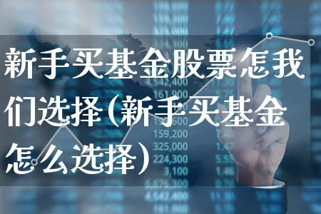 新手买基金股票怎我们选择(新手买基金怎么选择)_https://www.xgbbparty.com_基金市场_第1张