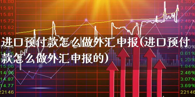 进口预付款怎么做外汇申报(进口预付款怎么做外汇申报的)_https://www.xgbbparty.com_外汇市场_第1张