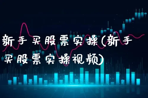 新手买股票实操(新手买股票实操视频)_https://www.xgbbparty.com_股市频道_第1张