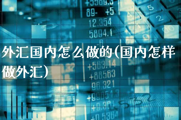 外汇国内怎么做的(国内怎样做外汇)_https://www.xgbbparty.com_外汇市场_第1张