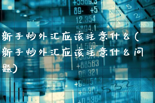 新手炒外汇应该注意什么(新手炒外汇应该注意什么问题)_https://www.xgbbparty.com_外汇市场_第1张