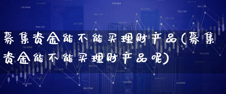 募集资金能不能买理财产品(募集资金能不能买理财产品呢)_https://www.xgbbparty.com_债券市场_第1张