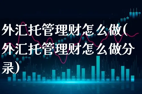 外汇托管理财怎么做(外汇托管理财怎么做分录)_https://www.xgbbparty.com_外汇市场_第1张