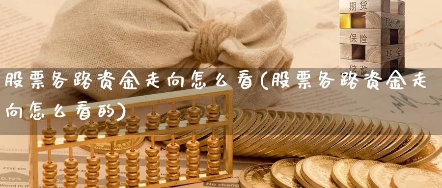 股票各路资金走向怎么看(股票各路资金走向怎么看的)_https://www.xgbbparty.com_债券市场_第1张