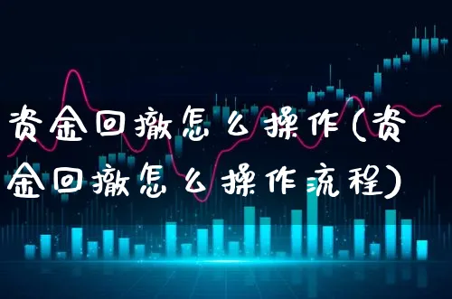 资金回撤怎么操作(资金回撤怎么操作流程)_https://www.xgbbparty.com_基金市场_第1张