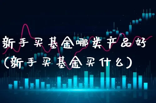 新手买基金哪类产品好(新手买基金买什么)_https://www.xgbbparty.com_基金市场_第1张