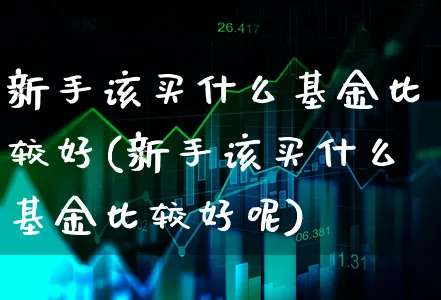 新手该买什么基金比较好(新手该买什么基金比较好呢)_https://www.xgbbparty.com_基金市场_第1张