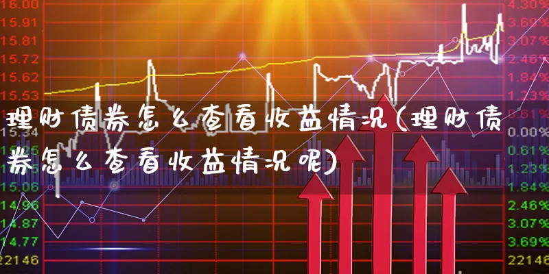 理财债券怎么查看收益情况(理财债券怎么查看收益情况呢)_https://www.xgbbparty.com_债券市场_第1张