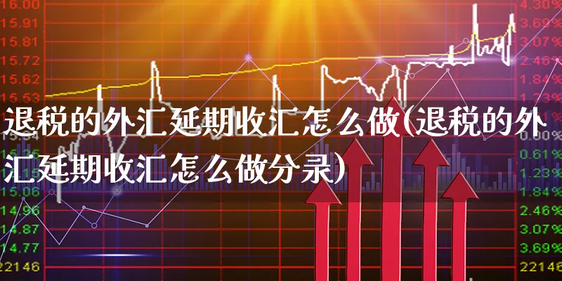 退税的外汇延期收汇怎么做(退税的外汇延期收汇怎么做分录)_https://www.xgbbparty.com_外汇市场_第1张