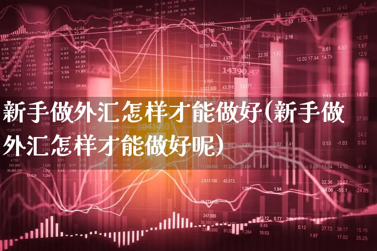 新手做外汇怎样才能做好(新手做外汇怎样才能做好呢)_https://www.xgbbparty.com_外汇市场_第1张