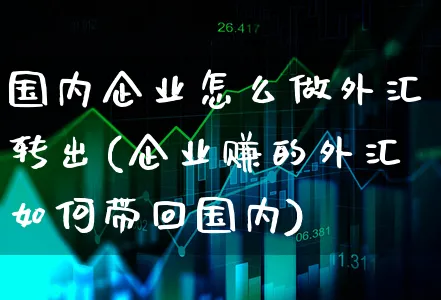 国内企业怎么做外汇转出(企业赚的外汇如何带回国内)_https://www.xgbbparty.com_外汇市场_第1张