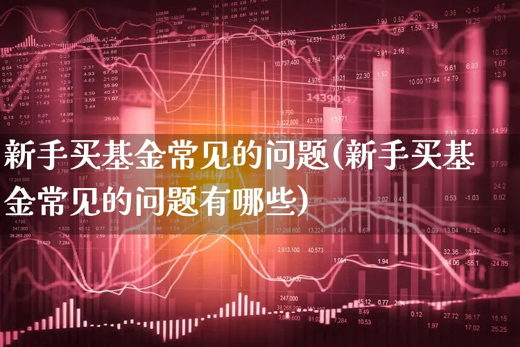 新手买基金常见的问题(新手买基金常见的问题有哪些)_https://www.xgbbparty.com_基金市场_第1张