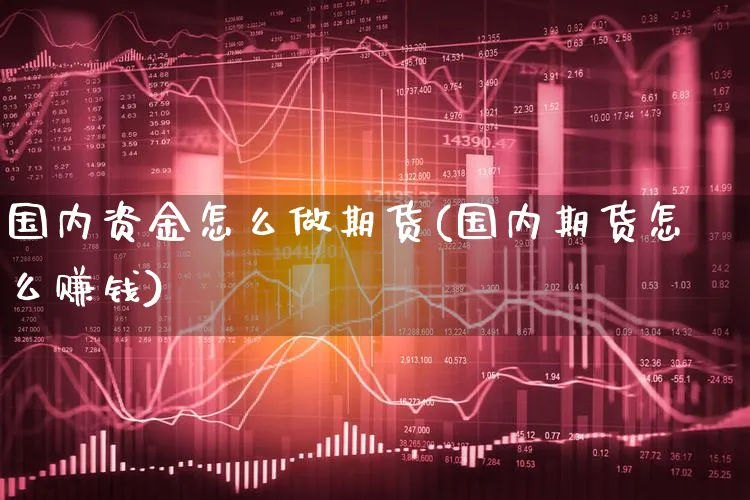 国内资金怎么做期货(国内期货怎么赚钱)_https://www.xgbbparty.com_期货市场_第1张