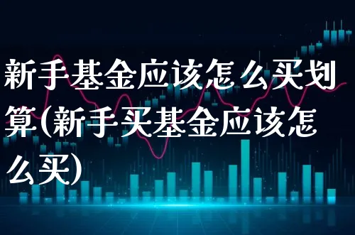 新手基金应该怎么买划算(新手买基金应该怎么买)_https://www.xgbbparty.com_基金市场_第1张