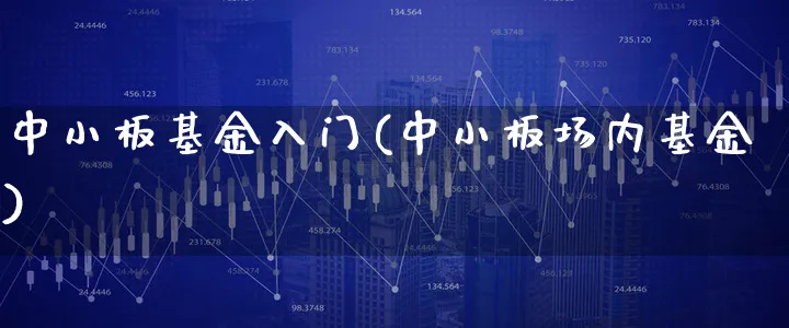 中小板基金入门(中小板场内基金)_https://www.xgbbparty.com_基金市场_第1张