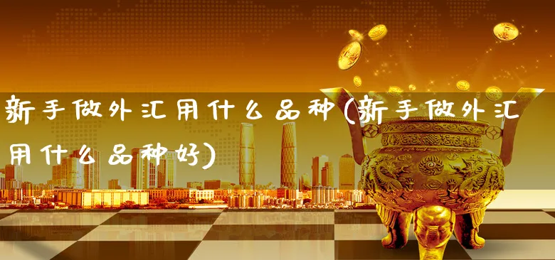 新手做外汇用什么品种(新手做外汇用什么品种好)_https://www.xgbbparty.com_外汇市场_第1张