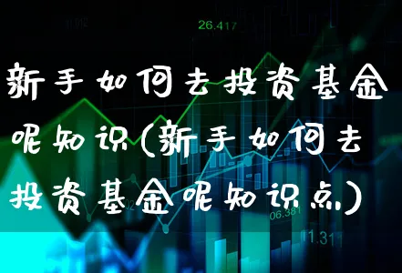 新手如何去投资基金呢知识(新手如何去投资基金呢知识点)_https://www.xgbbparty.com_基金市场_第1张