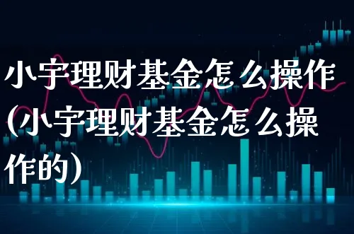 小宇理财基金怎么操作(小宇理财基金怎么操作的)_https://www.xgbbparty.com_股市频道_第1张