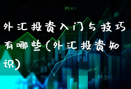 外汇投资入门与技巧有哪些(外汇投资知识)_https://www.xgbbparty.com_外汇市场_第1张