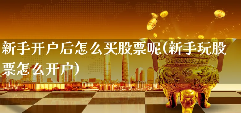 新手开户后怎么买股票呢(新手玩股票怎么开户)_https://www.xgbbparty.com_股市频道_第1张