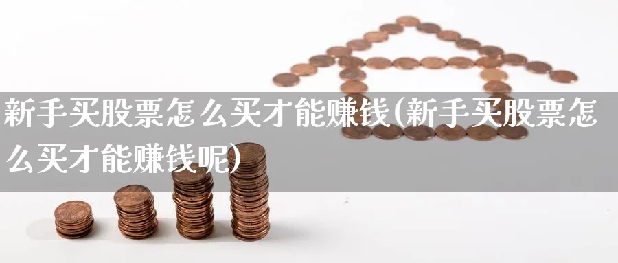 新手买股票怎么买才能赚钱(新手买股票怎么买才能赚钱呢)_https://www.xgbbparty.com_股市频道_第1张