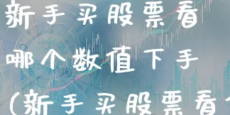 新手买股票看哪个数值下手(新手买股票看什么)_https://www.xgbbparty.com_股市频道_第1张