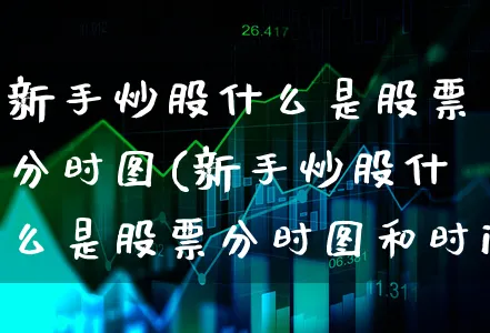 新手炒股什么是股票分时图(新手炒股什么是股票分时图和时间图)_https://www.xgbbparty.com_股市频道_第1张