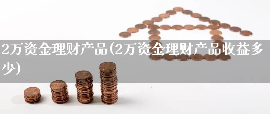 2万资金理财产品(2万资金理财产品收益多少)_https://www.xgbbparty.com_债券市场_第1张