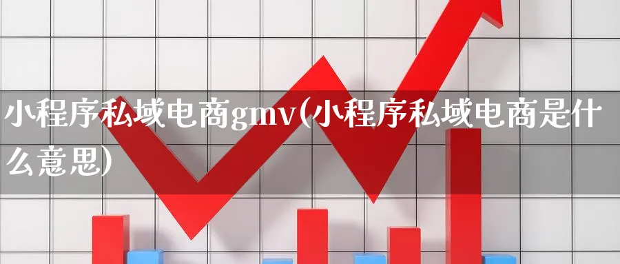 小程序私域电商gmv(小程序私域电商是什么意思)_https://www.xgbbparty.com_股市频道_第1张