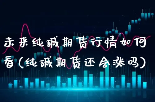 未来纯碱期货行情如何看(纯碱期货还会涨吗)_https://www.xgbbparty.com_期货市场_第1张