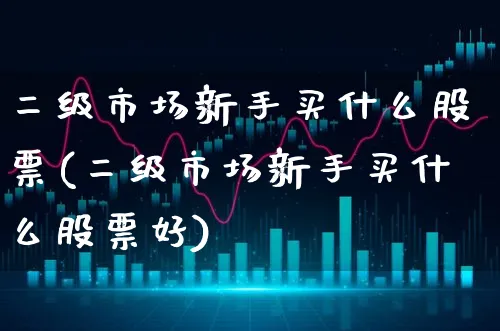 二级市场新手买什么股票(二级市场新手买什么股票好)_https://www.xgbbparty.com_股市频道_第1张