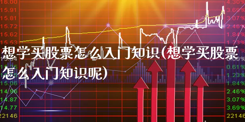 想学买股票怎么入门知识(想学买股票怎么入门知识呢)_https://www.xgbbparty.com_股市频道_第1张