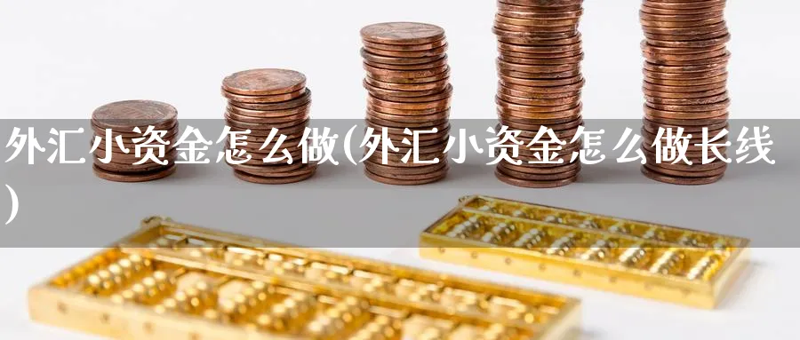 外汇小资金怎么做(外汇小资金怎么做长线)_https://www.xgbbparty.com_外汇市场_第1张