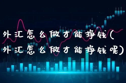 外汇怎么做才能挣钱(外汇怎么做才能挣钱呢)_https://www.xgbbparty.com_外汇市场_第1张