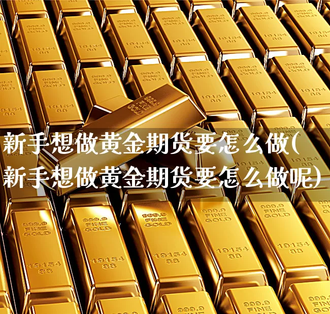 新手想做黄金期货要怎么做(新手想做黄金期货要怎么做呢)_https://www.xgbbparty.com_股市频道_第1张