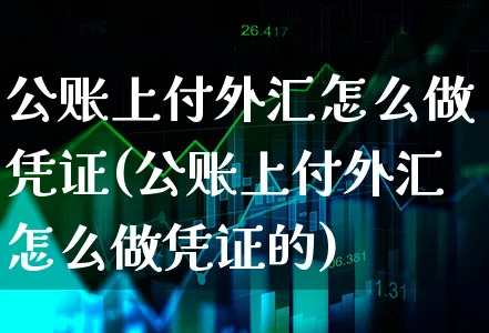 公账上付外汇怎么做凭证(公账上付外汇怎么做凭证的)_https://www.xgbbparty.com_外汇市场_第1张