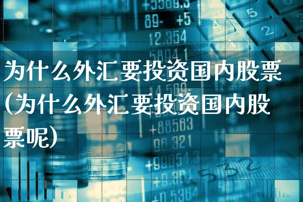 为什么外汇要投资国内股票(为什么外汇要投资国内股票呢)_https://www.xgbbparty.com_外汇市场_第1张