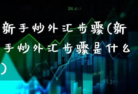 新手炒外汇步骤(新手炒外汇步骤是什么)_https://www.xgbbparty.com_外汇市场_第1张