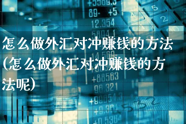 怎么做外汇对冲赚钱的方法(怎么做外汇对冲赚钱的方法呢)_https://www.xgbbparty.com_外汇市场_第1张