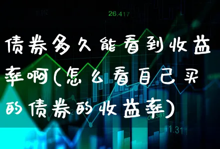 债券多久能看到收益率啊(怎么看自己买的债券的收益率)_https://www.xgbbparty.com_债券市场_第1张