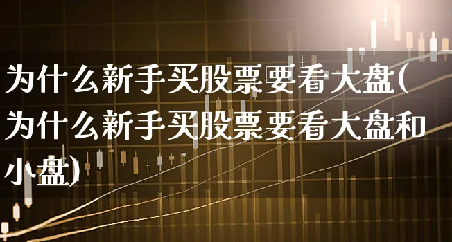 为什么新手买股票要看大盘(为什么新手买股票要看大盘和小盘)_https://www.xgbbparty.com_股市频道_第1张