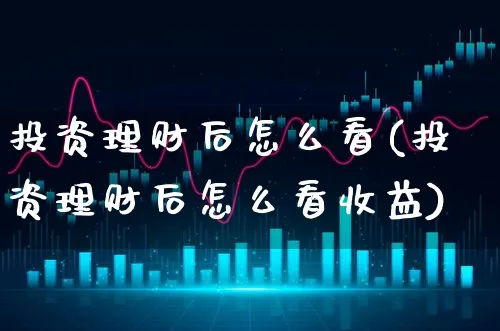 投资理财后怎么看(投资理财后怎么看收益)_https://www.xgbbparty.com_基金市场_第1张