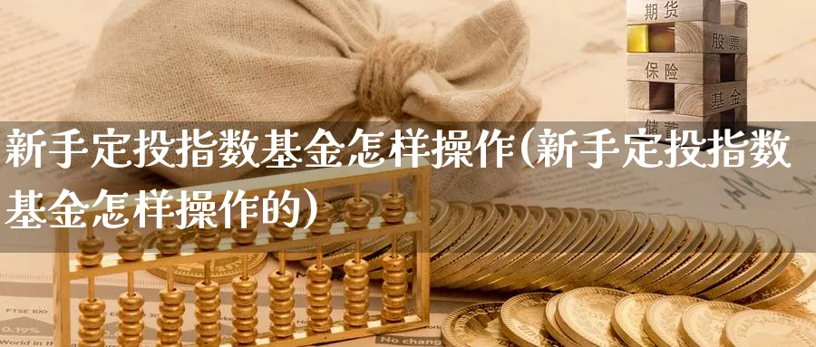 新手定投指数基金怎样操作(新手定投指数基金怎样操作的)_https://www.xgbbparty.com_基金市场_第1张