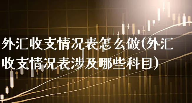 外汇收支情况表怎么做(外汇收支情况表涉及哪些科目)_https://www.xgbbparty.com_外汇市场_第1张