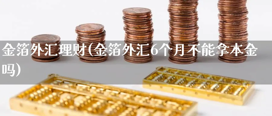 金箔外汇理财(金箔外汇6个月不能拿本金吗)_https://www.xgbbparty.com_股市频道_第1张