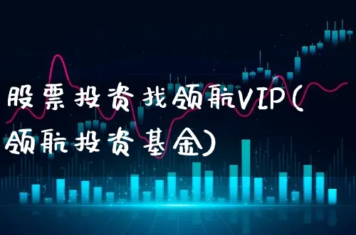 股票投资找领航VIP(领航投资基金)_https://www.xgbbparty.com_基金市场_第1张