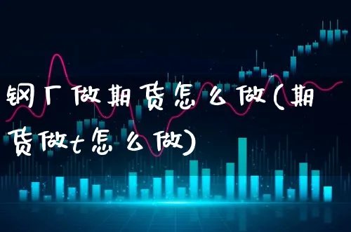 钢厂做期货怎么做(期货做t怎么做)_https://www.xgbbparty.com_期货市场_第1张