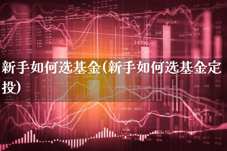 新手如何选基金(新手如何选基金定投)_https://www.xgbbparty.com_基金市场_第1张