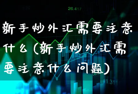 新手炒外汇需要注意什么(新手炒外汇需要注意什么问题)_https://www.xgbbparty.com_外汇市场_第1张